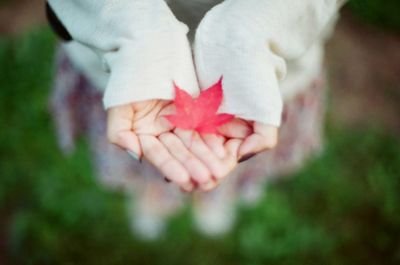 Follow Me - Follow Back 3