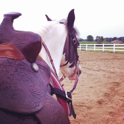 ExerciseRider's profile picture. #RideAboveHate