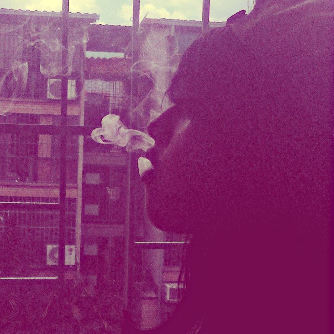 iUnaVenezolana_'s profile picture. Inhalo veneno y exhalo mi vida a cada pitada, dejo mi sangre por un poco del placer que me da la nicotina.