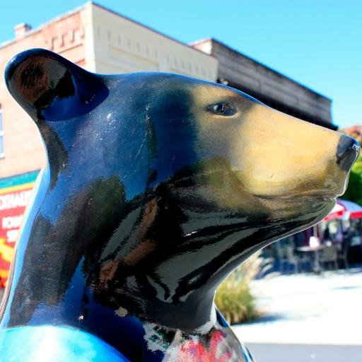 As local as it gets. Western North Carolina. Social media, community #volunteer, hiker, #local music, #pets, #history.