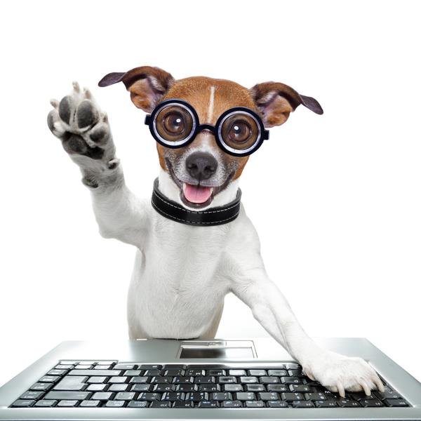 TecHOUNDS is a full-service staffing firm that provides Direct Hire, Contract-to-Hire, and Contract Staffing Solutions.