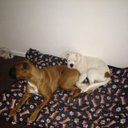 jackie frank - @jackief41510617 - Twitter