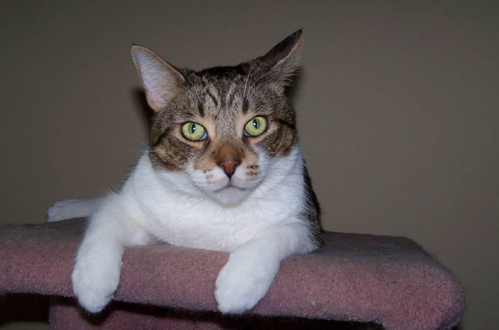 BarbOgglesby's profile picture. 