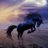 Stephanie_pand's profile image