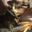 Libby Wheeler - @libbyw0098 - Twitter