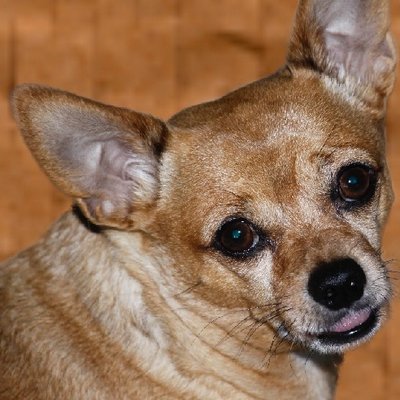 Profile Picture of Jim Markiewicz (@jim35mm) on Twitter