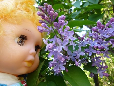 I's a lover of Jell-O, reconstituted foodstuffs, glitter, and Bunnicula, but if youse call me a dolly--hiiiiyahhh! #books #author