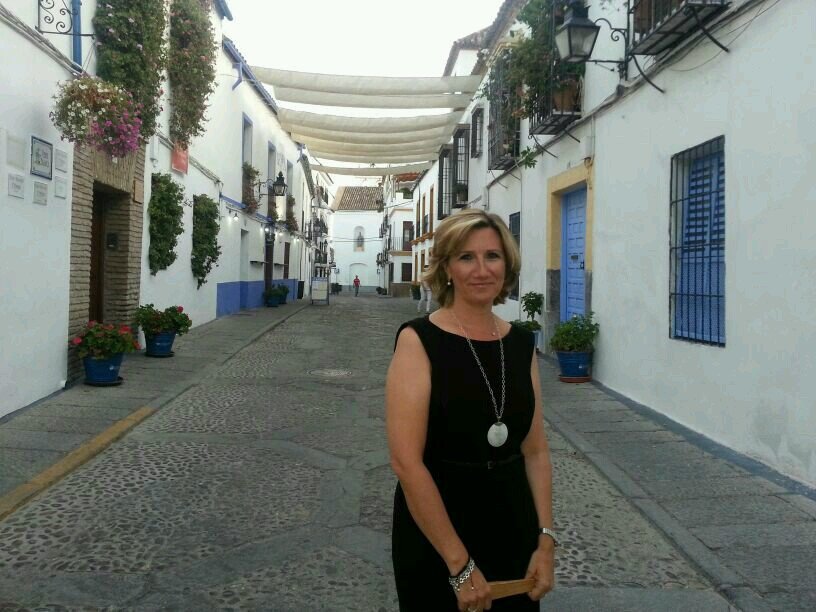 Ingeniero de Caminos