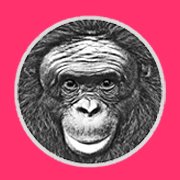 ApeInitiative Profile Picture