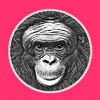 Ape Cognition and Conservation Initiative (@apeinitiative) 's Twitter Profile