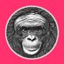 Ape Cognition and Conservation Initiative (@ApeInitiative) Twitter profile photo