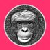 Ape Cognition and Conservation Initiative (@apeinitiative) Twitter profile photo Ape Cognition and Conservation Initiative (@apeinitiative) Twitter profile photo