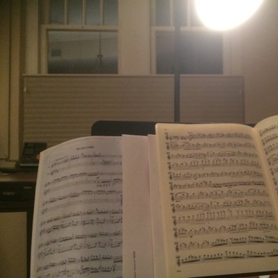 LakelandFlute's profile picture. Flute Studio of Central Florida is providing professional flute lessons in Central Florida. Elementary through College level. 
Our location is in Lakeland, FL.