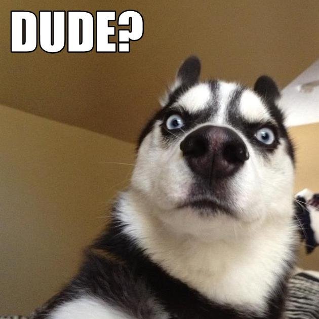 trs1955's profile picture. Swiss Federal Institute of Technology in Zurich;
Alcatel-Lucent Ltd.; Nokia Ltd.
Skyguide Ltd.;
Retired and very busy !