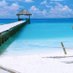 Tweetmedeals (@wecomparehols) Twitter profile photo