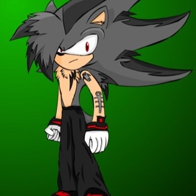 My name is blake the coolist one around im a lighting god ruler but get angry somtimes and im sweet LIKE CAKE!!!. part of team future .married to @rougethebat13