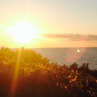 Stephanie Hughey (@steffieo_222) 's Twitter Profile