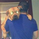 stephen gallacher - @steviehollyluk1 - Twitter