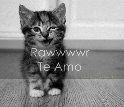 (cachetitos)