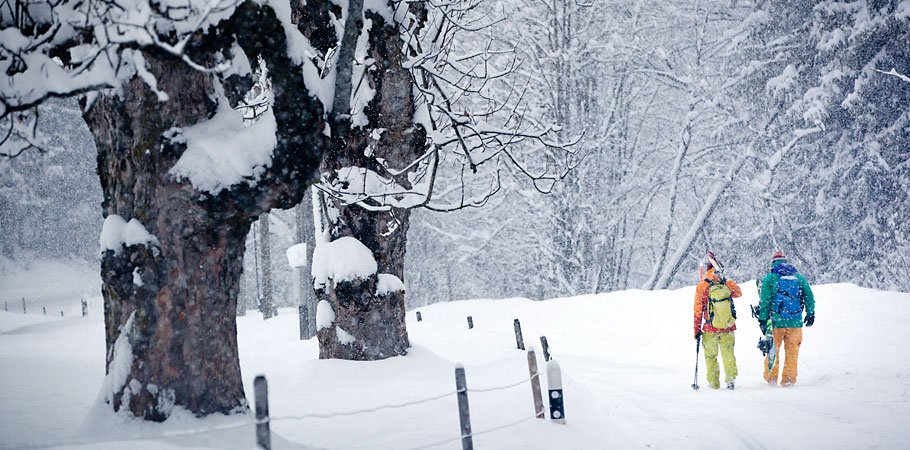 wintergearstore's profile picture. Online Winter Product Review Site