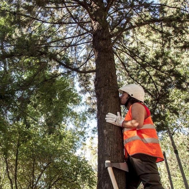 Alpertoooooooo's profile picture. beni ben yapan karmaşanın karmaşıklığına olan karmaşık düşkünlüğüm.