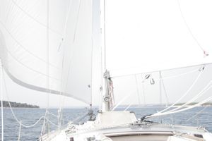 segelnews1's profile picture. Wir liefern die News zum schönsten Hobby dem härtesten Job der Welt