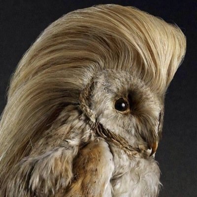 rollwaveroll Profile Picture