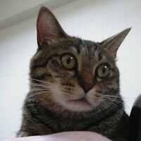 juroku (@juroku416) 's Twitter Profile Photo