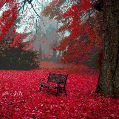 سبحان الله وبحمده سبحان الله العظيم
