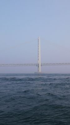 semimaru003's profile picture. まな板の上で釣果をつぶやく！

大阪湾　和歌山をメインに釣行中！