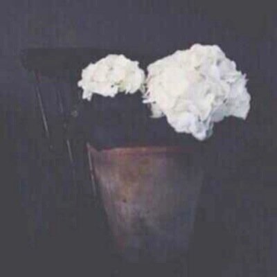 tasis12's profile picture. @DixGh