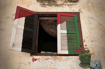 myandroid262's profile picture. 