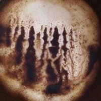 NCEL FOAM (@emfoam) 's Twitter Profile