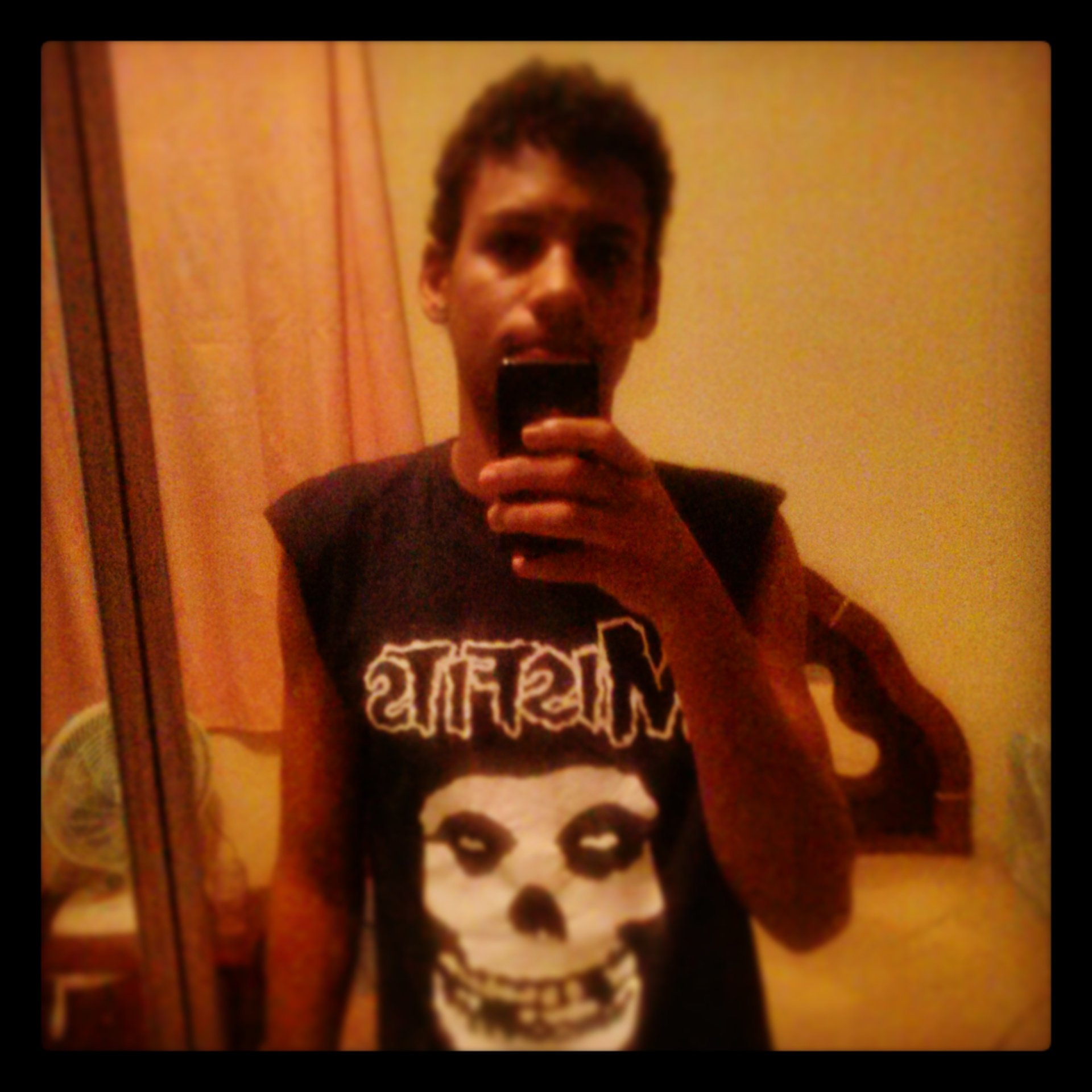 Punk Rock, Horror Punk, Hardcore Punk e Metal.