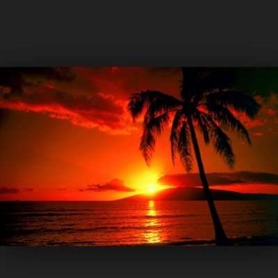 goprotography_ Profile Picture