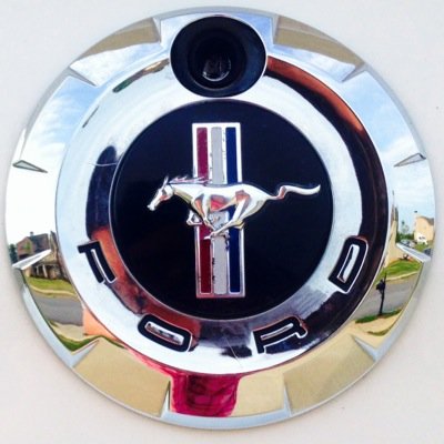 Mustang enthusiast from Atlanta Georgia. White Mustang Registry WMR0634