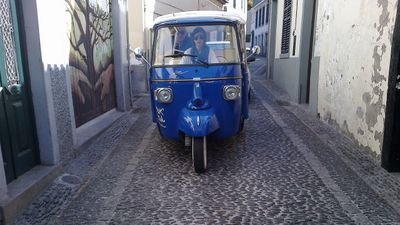 TukTukMadeira's profile picture. + 351 963 029 250