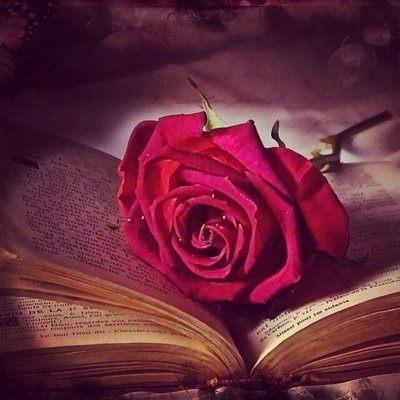 ؛`*.¸.*´ ? ¸.•´¸.•*¨) ¸.•*¨)? (¸.•´ (¸.•´ .•´ ¸¸.•¨¯`•. تابع قبل النشر