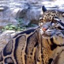 gail pickett - @gailepickett - Twitter