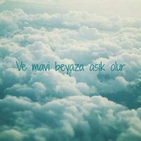 x (@sedaciko) 's Twitter Profile