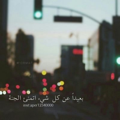 al11111a774 Profile Picture
