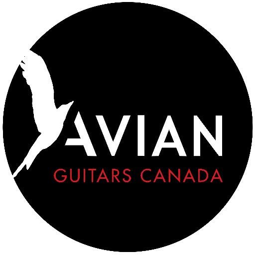 We offer Avian electric guitars, affordable accessories, as well as, some unique music-themed wearables.
