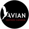 AvianGuitars's profile picture. We offer Avian electric guitars, affordable accessories, as well as, some unique music-themed wearables.