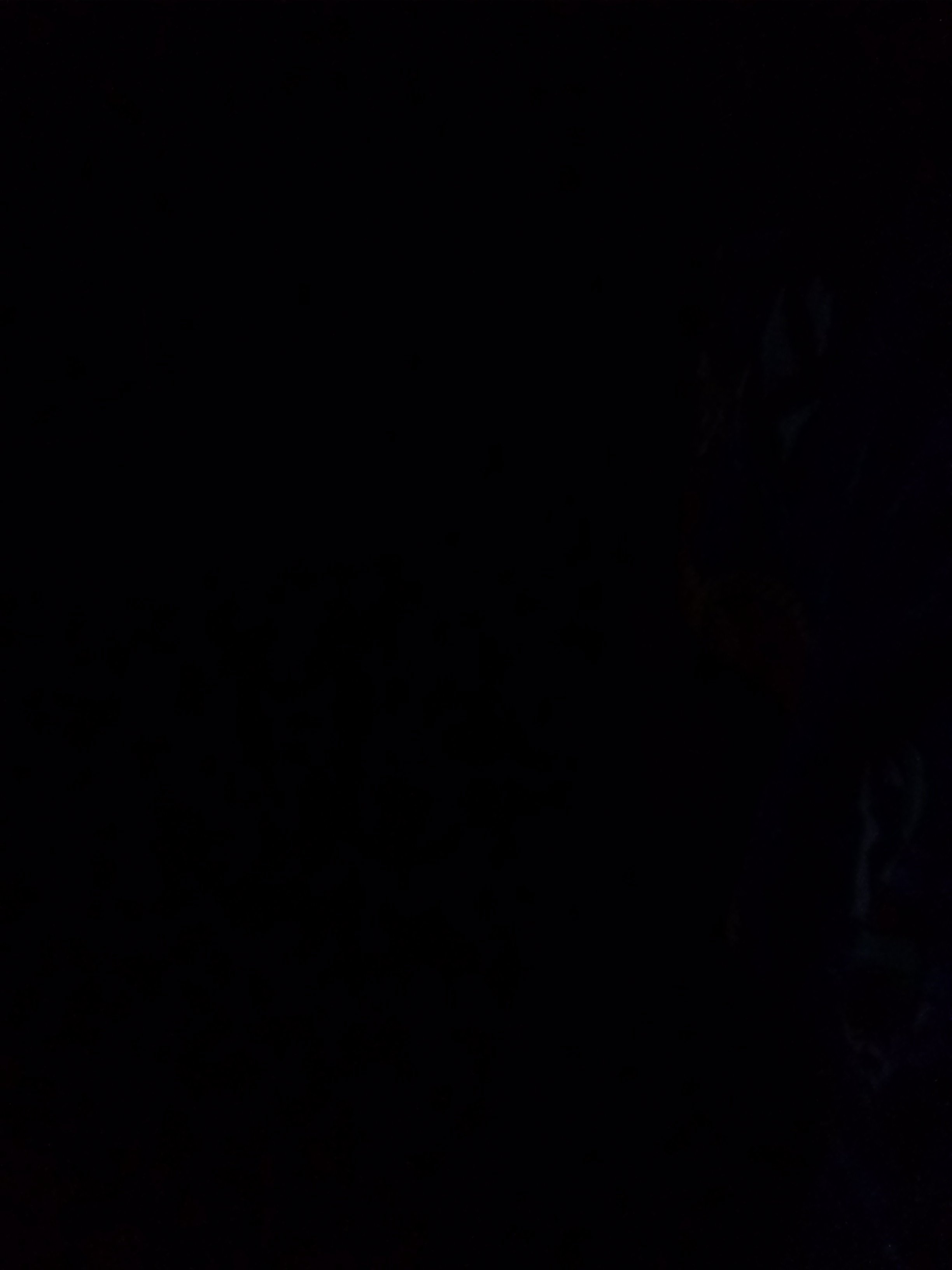...........