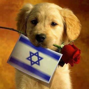 26,A #Illuminati Rothschild Zionist Hasbara paid troll etc etc (Nah!I am just a doc who luvs #Israel!And cats:)Follow me 4 #Israel news :)