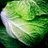 springkitefarm's profile image