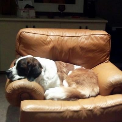 HuerterJohn's profile picture. 