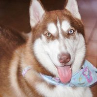 jose gregorio (@josegre80778622) 's Twitter Profile Photo