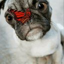 Eunice Ramirez - @euniceaguayo321 - Twitter