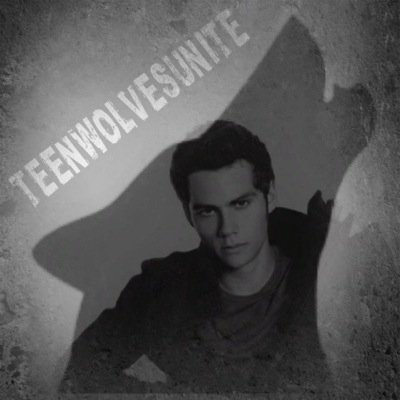 teenwolvesunite's profile picture. SM AA •We wolfies stick together• Moonday is the only day. Beacon Hills, CA